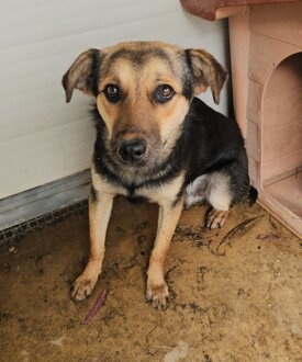 immagine whatsapp 2025-10-15 ore 18